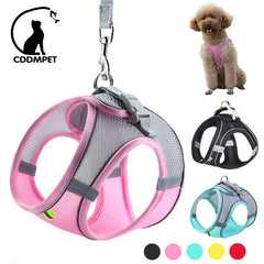 Dog Harness Leash Set for Small Dogs Adjustable Puppy Cat Outdoor Walking Lead Leash