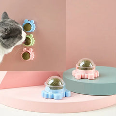 Cats Grass Balls Snacks Treats Rotating Pets Fun Toys