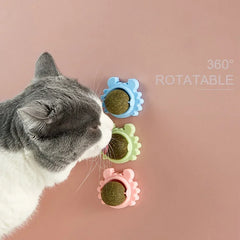 Cats Grass Balls Snacks Treats Rotating Pets Fun Toys