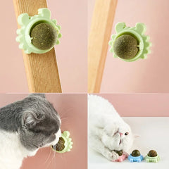 Cats Grass Balls Snacks Treats Rotating Pets Fun Toys